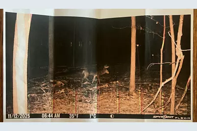 102 W Central Road, Coldwater, MI 49036 - Photo 73