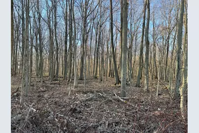 102 W Central Road, Coldwater, MI 49036 - Photo 57