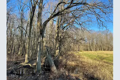 102 W Central Road, Coldwater, MI 49036 - Photo 53