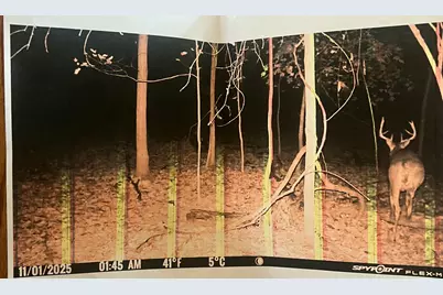 102 W Central Road, Coldwater, MI 49036 - Photo 67