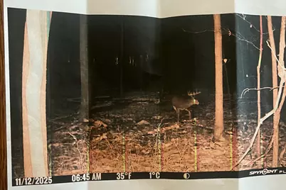 102 W Central Road, Coldwater, MI 49036 - Photo 69