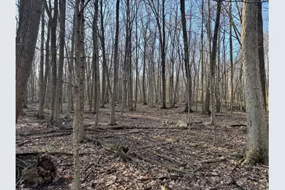 102 W Central Road, Coldwater, MI 49036 - Photo 61