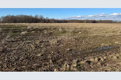 102 W Central Road, Coldwater, MI 49036 - Photo 37