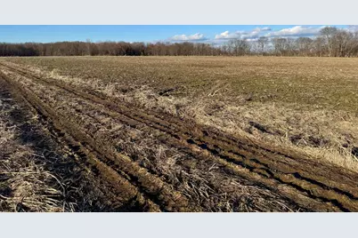 102 W Central Road, Coldwater, MI 49036 - Photo 39