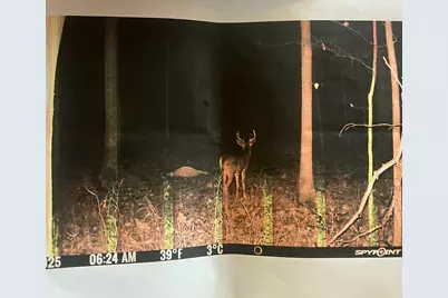 [Address not provided], Coldwater, MI 49036 - Photo 27