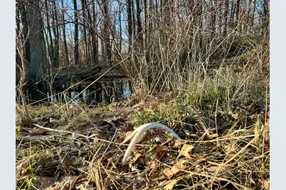 [Address not provided], Coldwater, MI 49036 - Photo 11