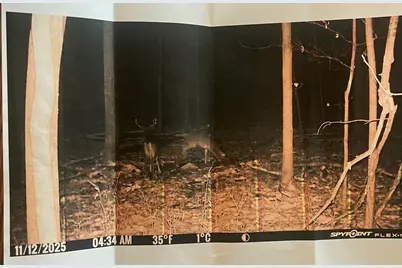 [Address not provided], Coldwater, MI 49036 - Photo 25