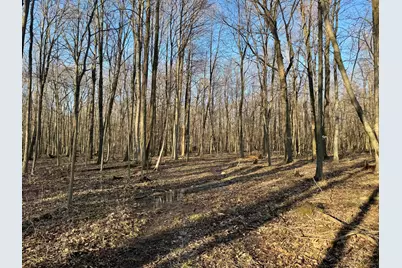 [Address not provided], Coldwater, MI 49036 - Photo 7