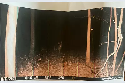 [Address not provided], Coldwater, MI 49036 - Photo 19