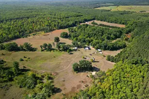 11664 N Gordon Ave, Bitely, MI 49309 - Photo 33