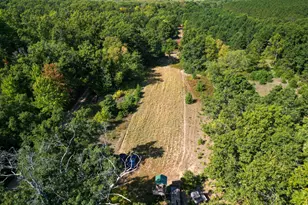 11664 N Gordon Ave, Bitely, MI 49309 - Photo 35