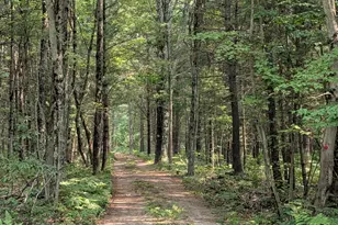 13171 Kt Dr, Bitely, MI 49309 - Photo 49