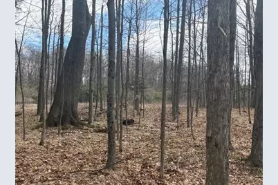 4 Mile Road, Evart, MI 49631 - Photo 15