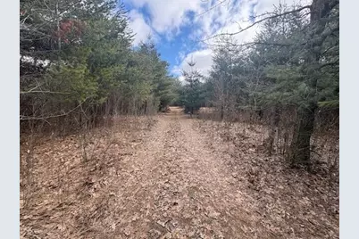 4 Mile Road, Evart, MI 49631 - Photo 23