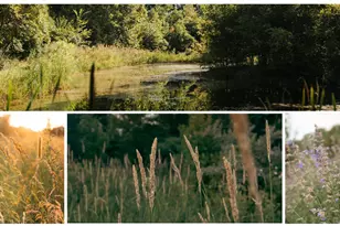 5553 Hidden Pond Ln, Sawyer, MI 49125 - Photo 51