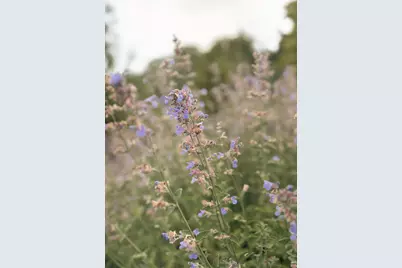 5553 Hidden Pond Lane, Sawyer, MI 49125 - Photo 71