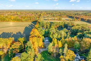 6947 Brown Rd, Parma, MI 49269 - Photo 43