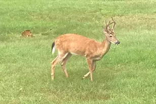 8949 Stadium Dr, Kalamazoo, MI 49009 - Photo 53