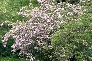 8949 Stadium Dr, Kalamazoo, MI 49009 - Photo 63