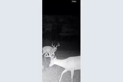 619 S Amber Road, Scottville, MI 49454 - Photo 39