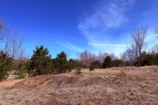 619 S Amber Rd, Scottville, MI 49454 - Photo 41