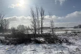 V/L W Pickard Rd, Mount Pleasant, MI 48858 - Photo 1