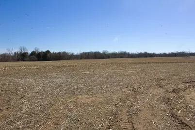 V/L W Pickard Road, Mount Pleasant, MI 48858 - Photo 15