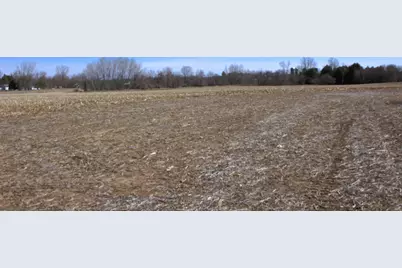 V/L W Pickard Road, Mount Pleasant, MI 48858 - Photo 13