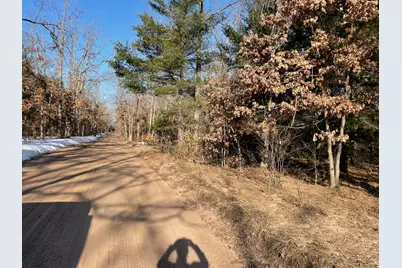 21210 W 12 Mile Road, Irons, MI 49644 - Photo 11