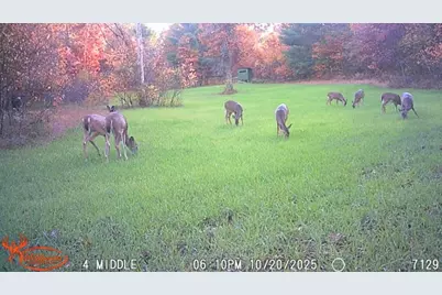 21210 W 12 Mile Road, Irons, MI 49644 - Photo 21