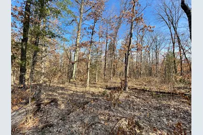 21210 W 12 Mile Road, Irons, MI 49644 - Photo 3