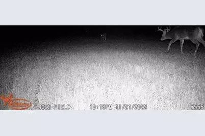 21210 W 12 Mile Road, Irons, MI 49644 - Photo 25