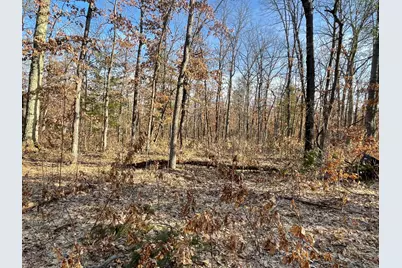 21210 W 12 Mile Road, Irons, MI 49644 - Photo 5