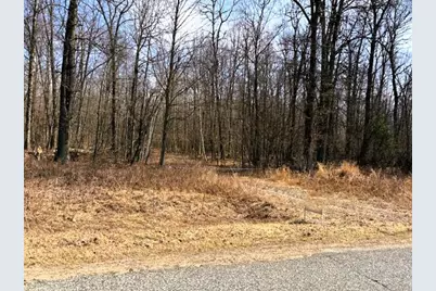 V/L W Prairie Road, Midland, MI 48640 - Photo 63