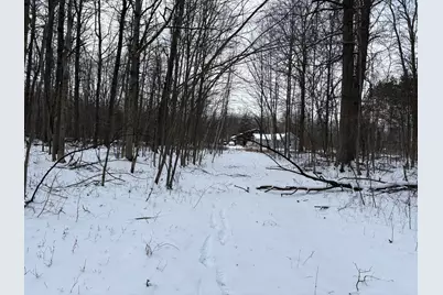 V/L W Prairie Road, Midland, MI 48640 - Photo 29