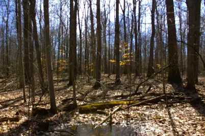 V/L W Prairie Road, Midland, MI 48640 - Photo 39