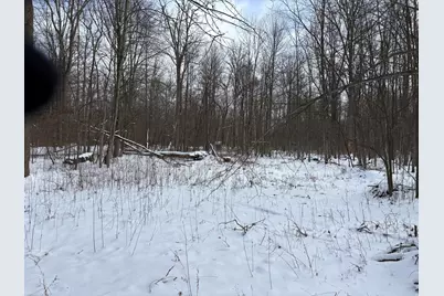 V/L W Prairie Road, Midland, MI 48640 - Photo 37