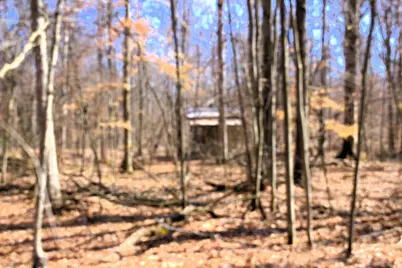 V/L W Prairie Road, Midland, MI 48640 - Photo 43