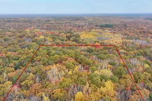 11643 N Willow Rd, Bitely, MI 49309 - Photo 1