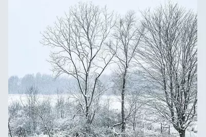 51534 County Road 673, Lawrence, MI 49064 - Photo 41