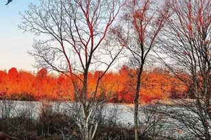 51534 Co Rd 673, Lawrence, MI 49064 - Photo 41