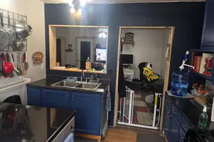 223 S Howell St, Middleton, MI 48856 - Photo 5