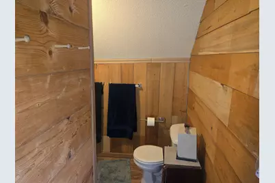 223 S Howell Street, Middleton, MI 48856 - Photo 13