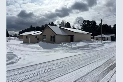 28981 W M-28, Eckerman, MI 49728 - Photo 1