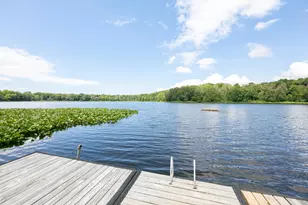 39 Camp Madron Rd, Buchanan, MI 49107 - Photo 47