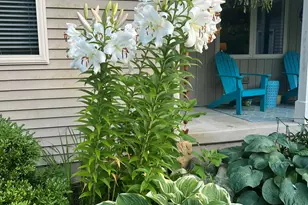 1518 Pleasant Wood Dr, Rockford, MI 49341 - Photo 5