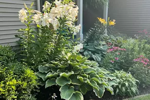 1518 Pleasant Wood Dr, Rockford, MI 49341 - Photo 7