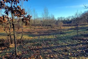 7596 2 1/2 Mile Rd, East Leroy, MI 49051 - Photo 23