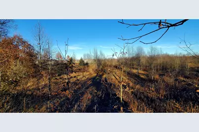 7596 2 1/2 Mile Road, East Leroy, MI 49051 - Photo 19