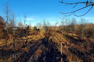 7596 2 1/2 Mile Rd, East Leroy, MI 49051 - Photo 19